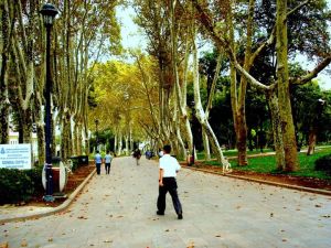Istanbul: The Autumn Roads