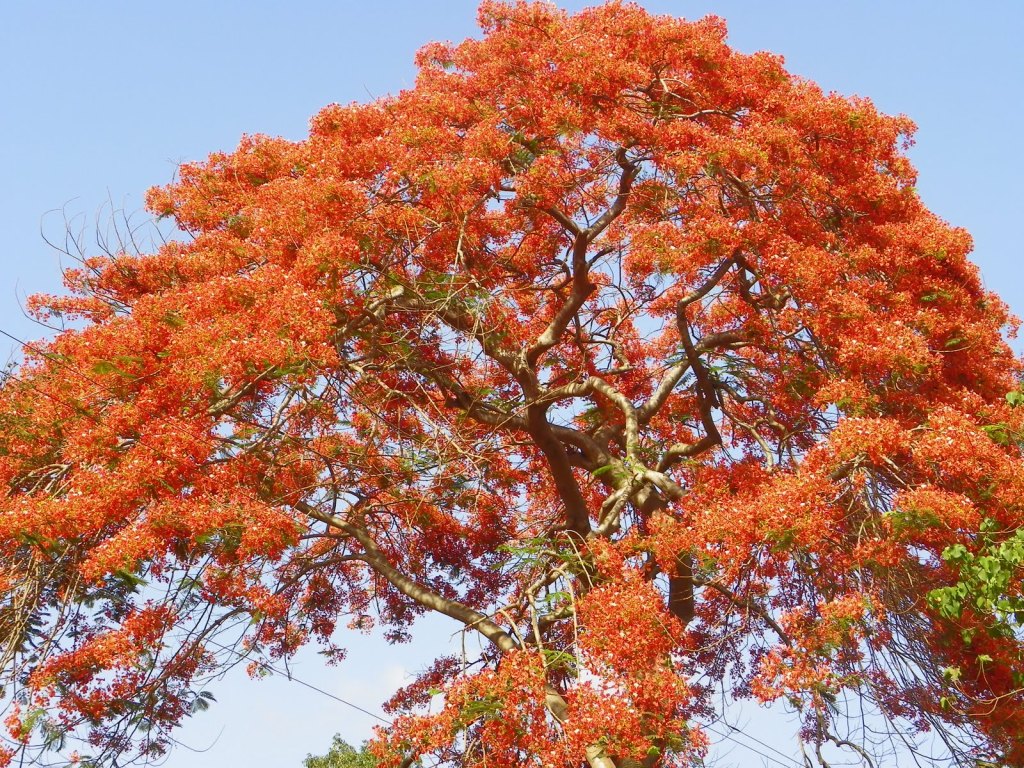 Walking down the memory lane